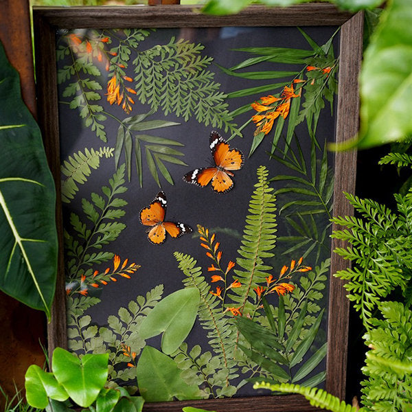 Botanical Butterfly Picture Frame Decor