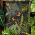 Botanical Butterfly Picture Frame Decor