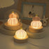 Mushroom Shell Sea Urchin Night Light