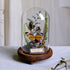 Botanical Butterfly Specimen Decor - Elegant Glass Dome - Home or Office Display