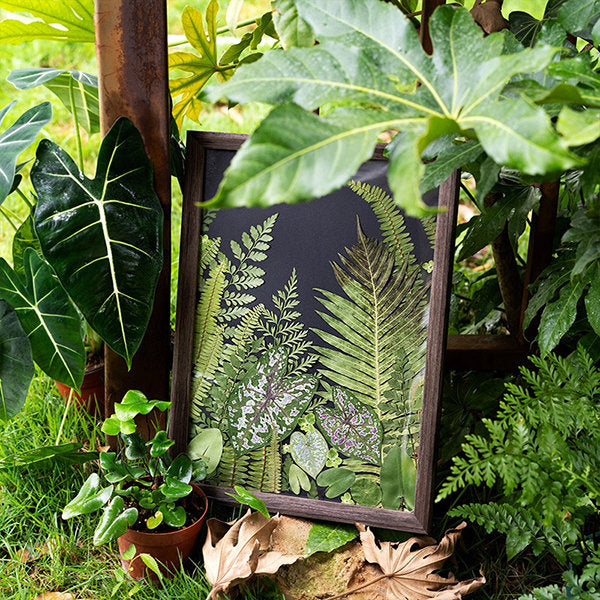 Botanical Picture Frame Decor - Preserved Plants with Wooden Frame- Timeless Decor