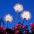 Solar Powered Dandelion Lights - Set of 2 - Garden Decor