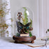 Botanical Butterfly Specimen Decor - Elegant Glass Dome - Home or Office Display