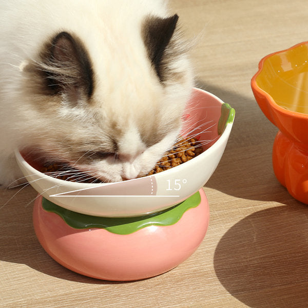 Ceramic Fruit Pet Bowl - Orange - Strawberry - Pumpkin