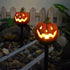 Solar Pumpkin Stake Lights - Halloween Decoration - Illuminate Your Outdoors