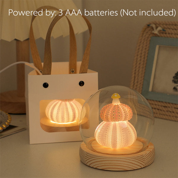 Mushroom Shell Sea Urchin Night Light - Soft Ambient Lighting - Home Decor
