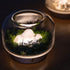 Seasonal Aromatherapy Night Light Diffuser - Soft Ambient Lighting - Mountain Landscapes