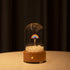 Bluetooth Speaker Lamp - Rainbow Design - Glass Dome - Beechwood Base - Vibrant Decor