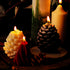 Christmas Pinecone Scented Candle - Natural Soy and Beeswax - Berry Fragrance - Handmade Holiday Home Decor - Cotton Wick Eco Candle