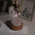 Bluetooth Speaker Lamp - Heart Design - Glass Dome - Beechwood Base - Romantic Atmosphere