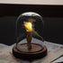 DIY Sea-themed Night Light - Handmade Craft Kit - Natural Materials - Perfect Gift Idea - Sea Urchin - Seashell