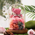 Moss Bear Preserved Flower Glass Dome