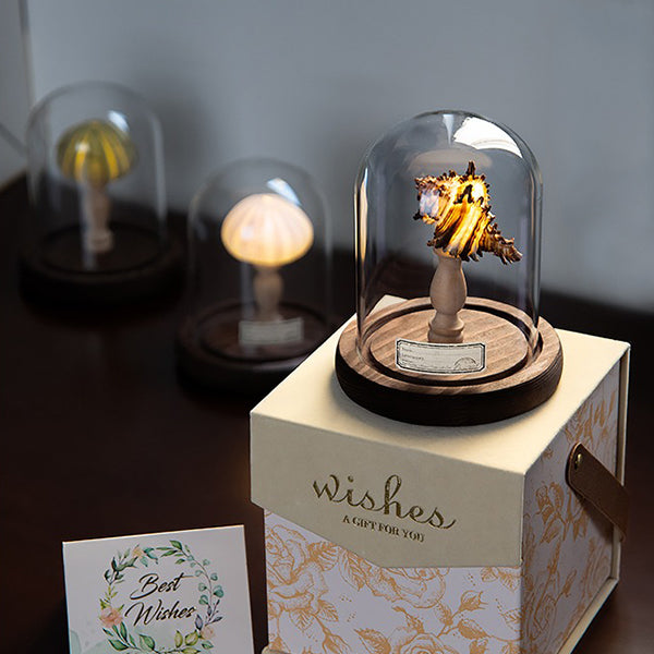 DIY Sea-themed Night Light - Handmade Craft Kit - Natural Materials - Perfect Gift Idea - Sea Urchin - Seashell