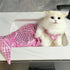 Pet Mermaid Tail Costume - Pink - Blue - Perfect for Cats and Dogs - Fun for Photoshoots