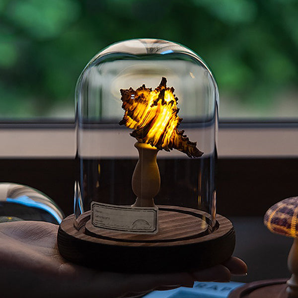 DIY Sea-themed Night Light - Handmade Craft Kit - Natural Materials - Perfect Gift Idea - Sea Urchin - Seashell
