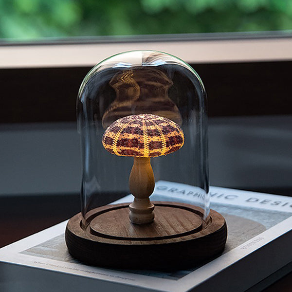 DIY Sea-themed Night Light - Handmade Craft Kit - Natural Materials - Perfect Gift Idea - Sea Urchin - Seashell