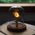 DIY Sea-themed Night Light - Handmade Craft Kit - Natural Materials - Perfect Gift Idea - Sea Urchin - Seashell